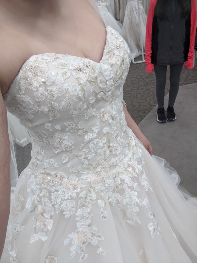 david's bridal v3902
