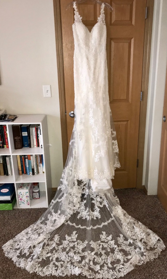 stella york 6247