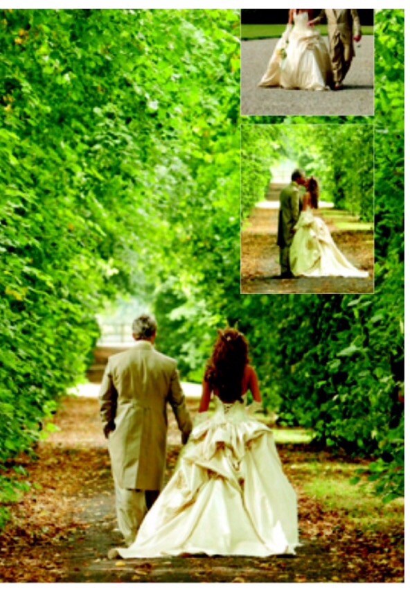 Hollywood Dreams, Cameo Used Wedding Dress Save 73% Stillwhite