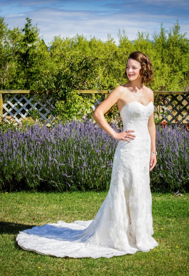 stella york 5939