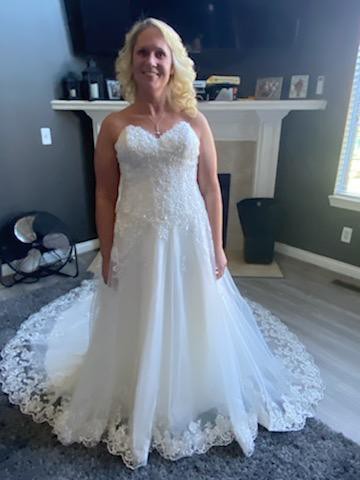 david's bridal v3836