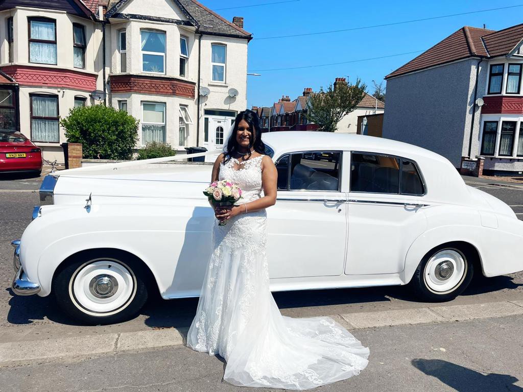 Stella sales york ivory