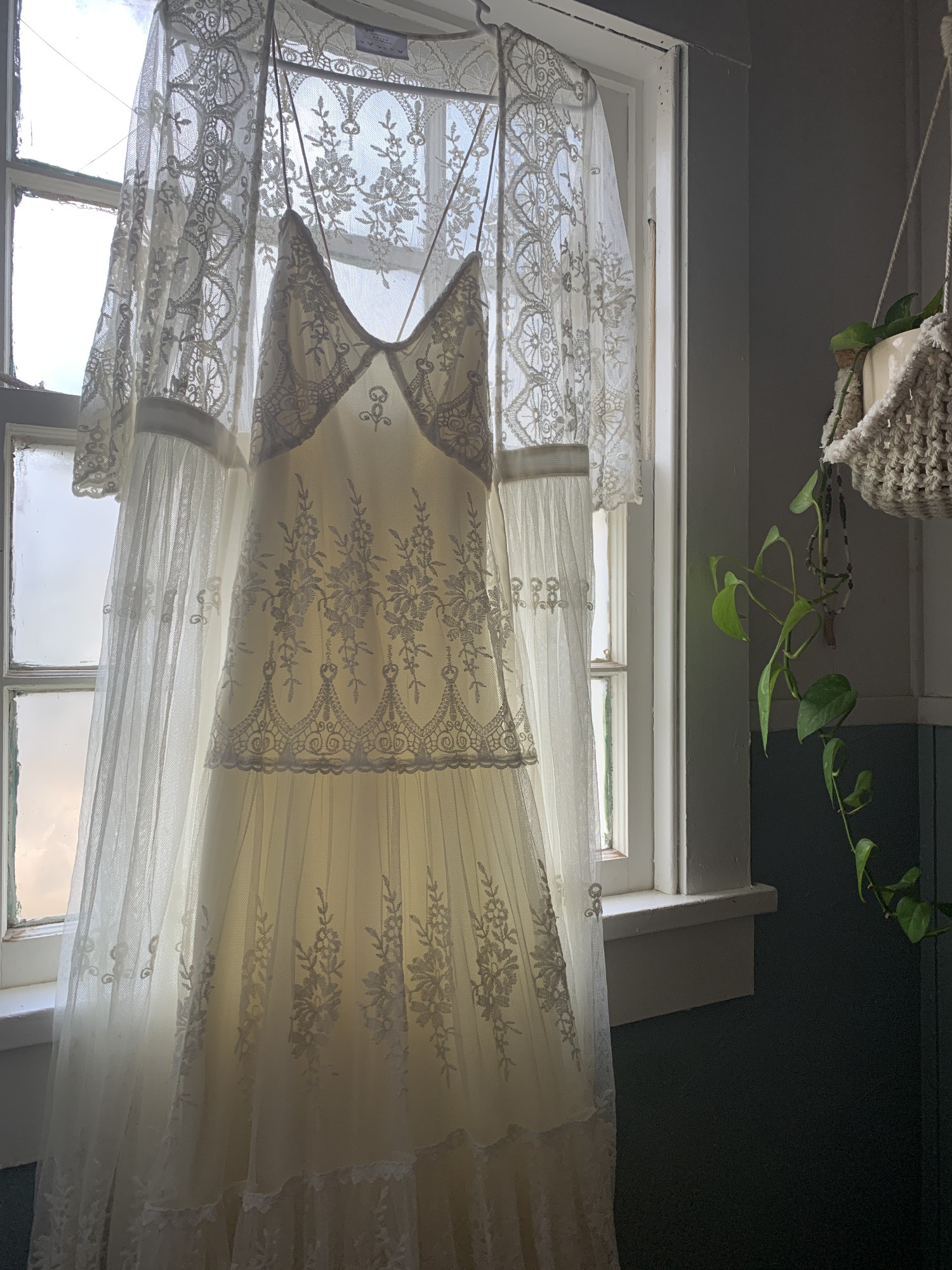 canyon moon mesh gown