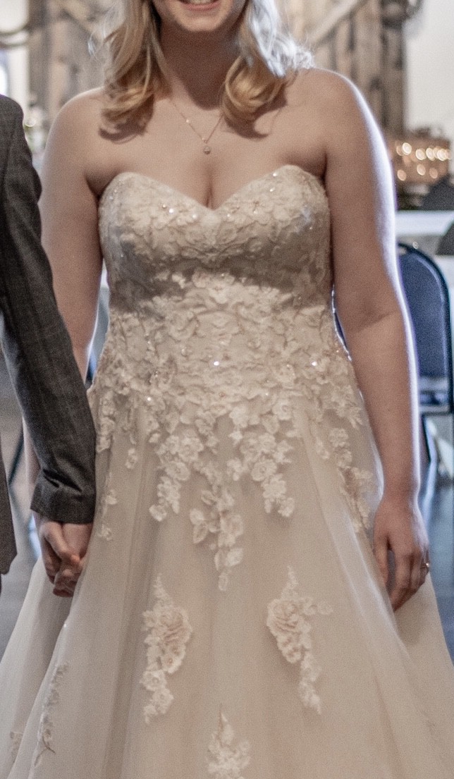 david's bridal v3902
