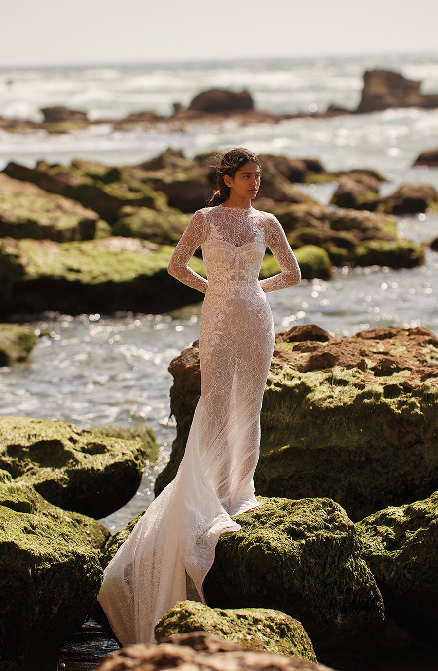 Dana Harel Dana Harel