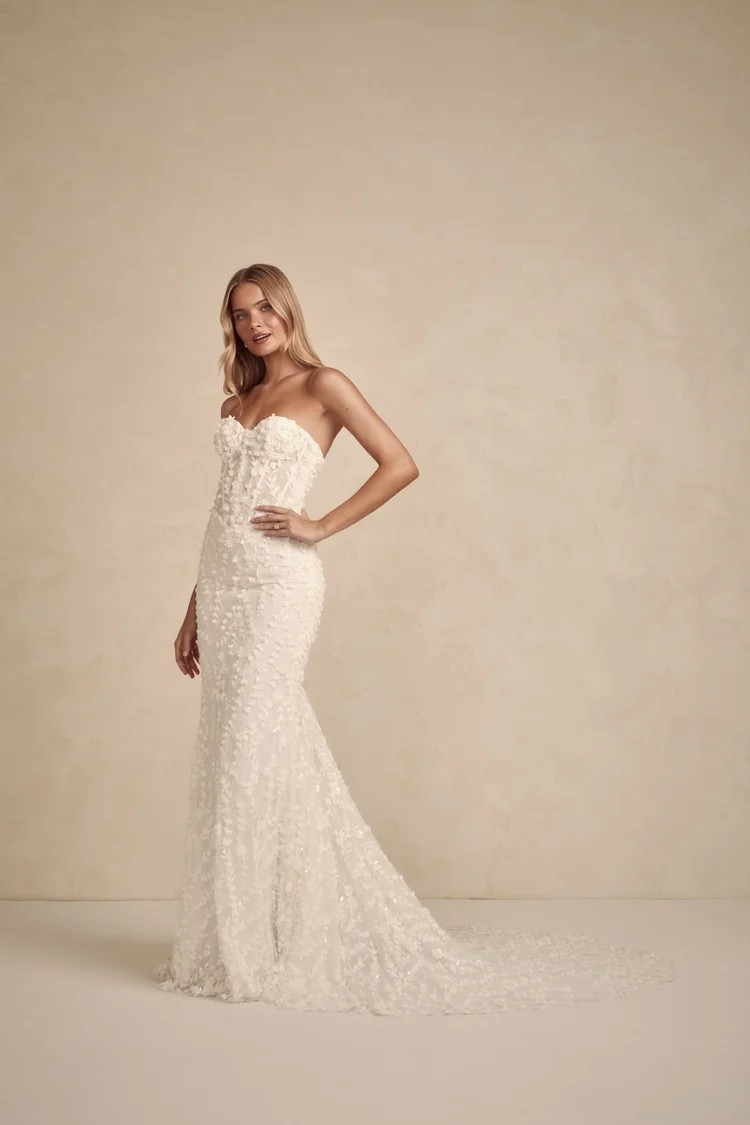 samina pleated double layer lace dress Lace Cutout Surplice Half Sleeve Dress – La Dolce Fiona main image 1