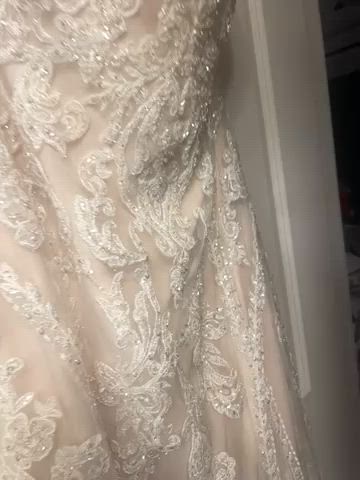 Sophia Tolli, Y21993