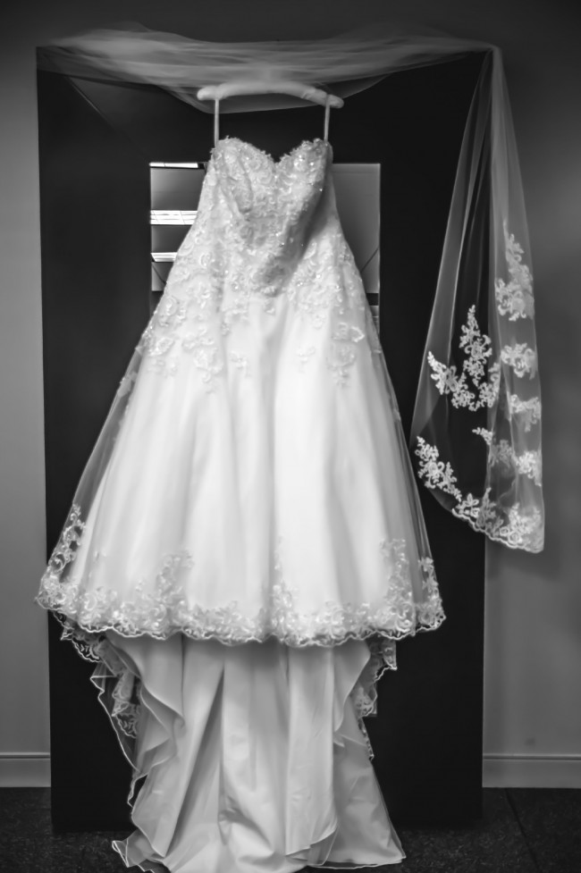 david's bridal 9v3836
