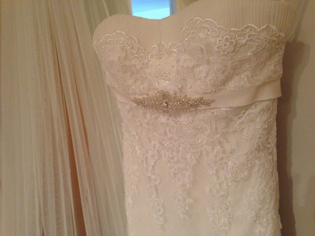 Pronovias Balira Wedding Dress
