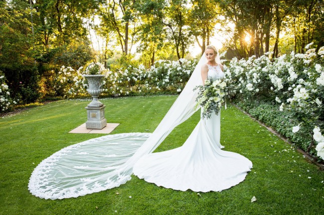 stella york 6404
