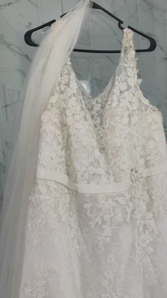 ALFRED ANGELO 991