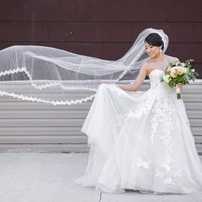 wg3861 david's bridal