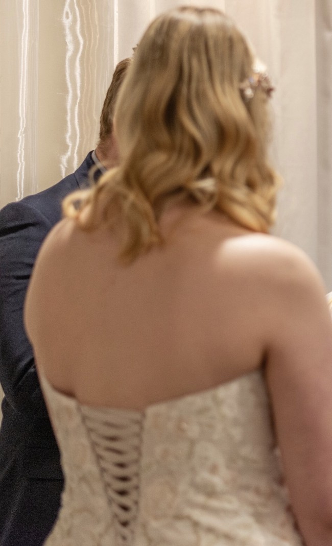 david's bridal v3902
