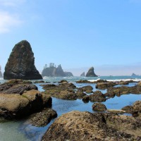 ワンピース CECILE BAHNSEN RUTH DRESS The Most Stylish Women We Know Just Told Us What They Want to Buy