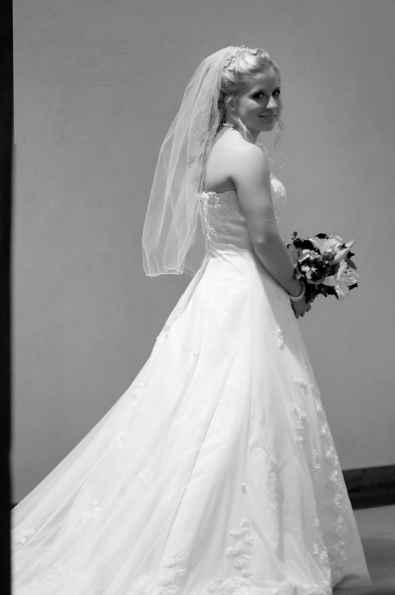 David's Bridal E8475 Used Wedding Dress Save 91 Stillwhite