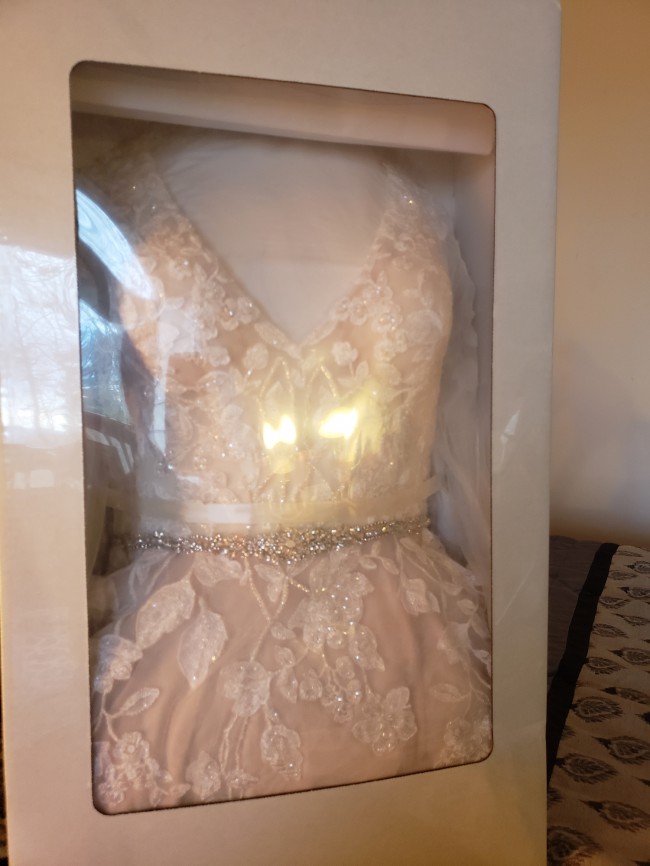 swg820 david's bridal
