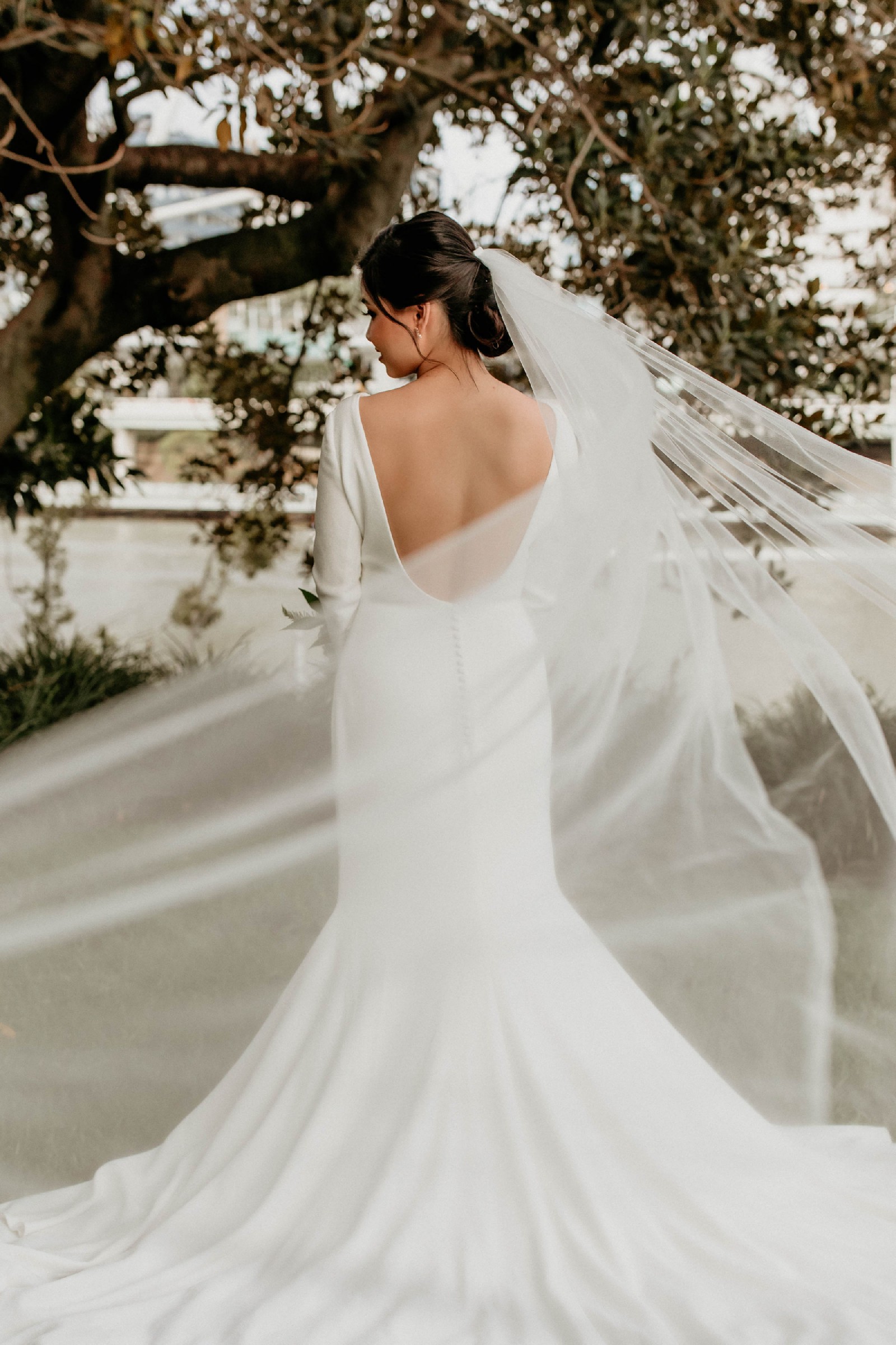 Pronovias Ivania Used Wedding Dress Save 43% - Stillwhite