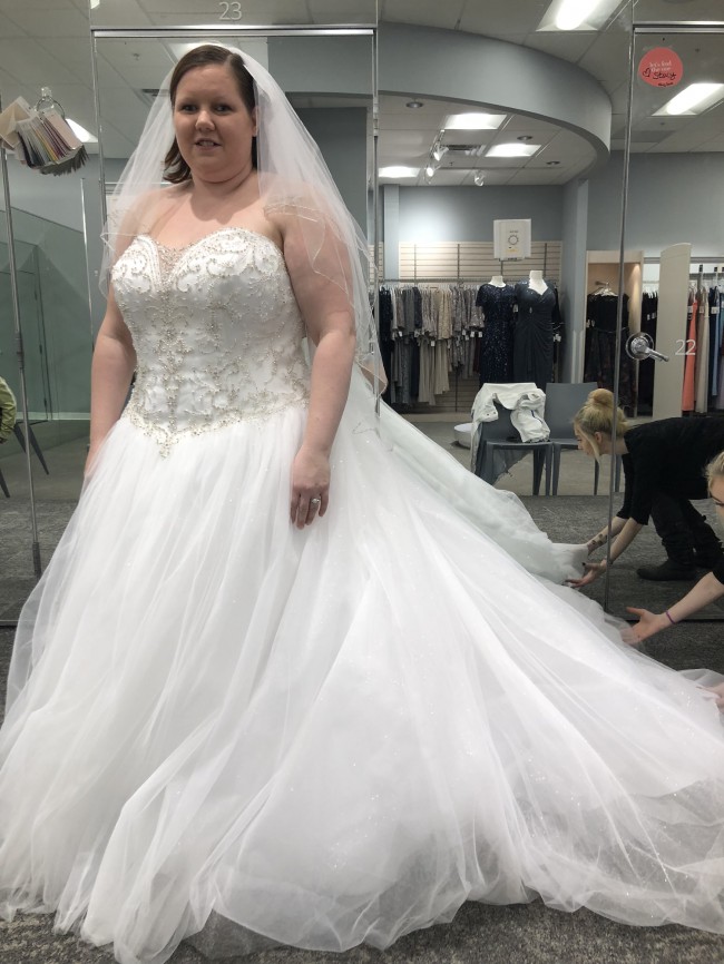 v3848 david's bridal