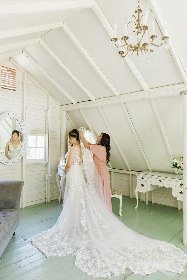 Ivory Embroidered Lace Willow