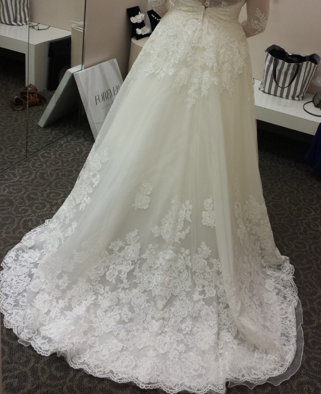 david's bridal wg3850