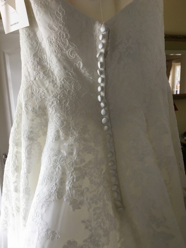 Morilee 72504