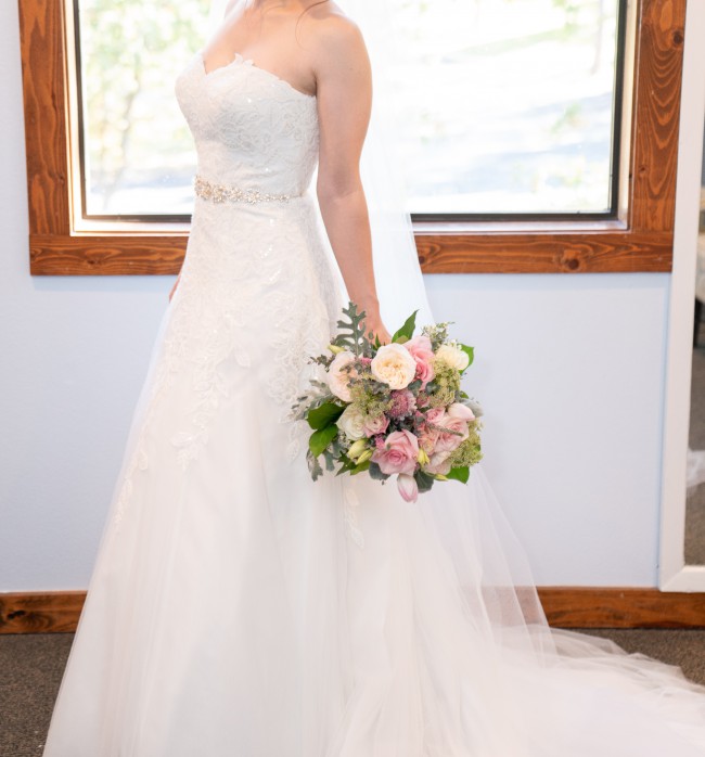 v3848 david's bridal
