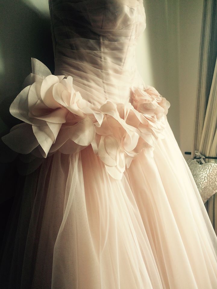 Vera wang 2025 blush wedding dress