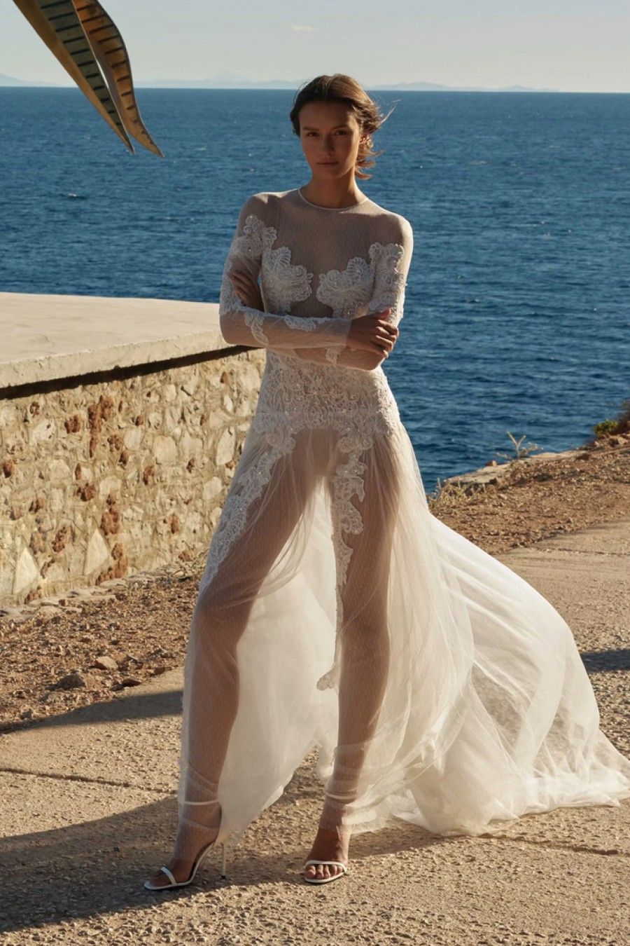 Dana Harel