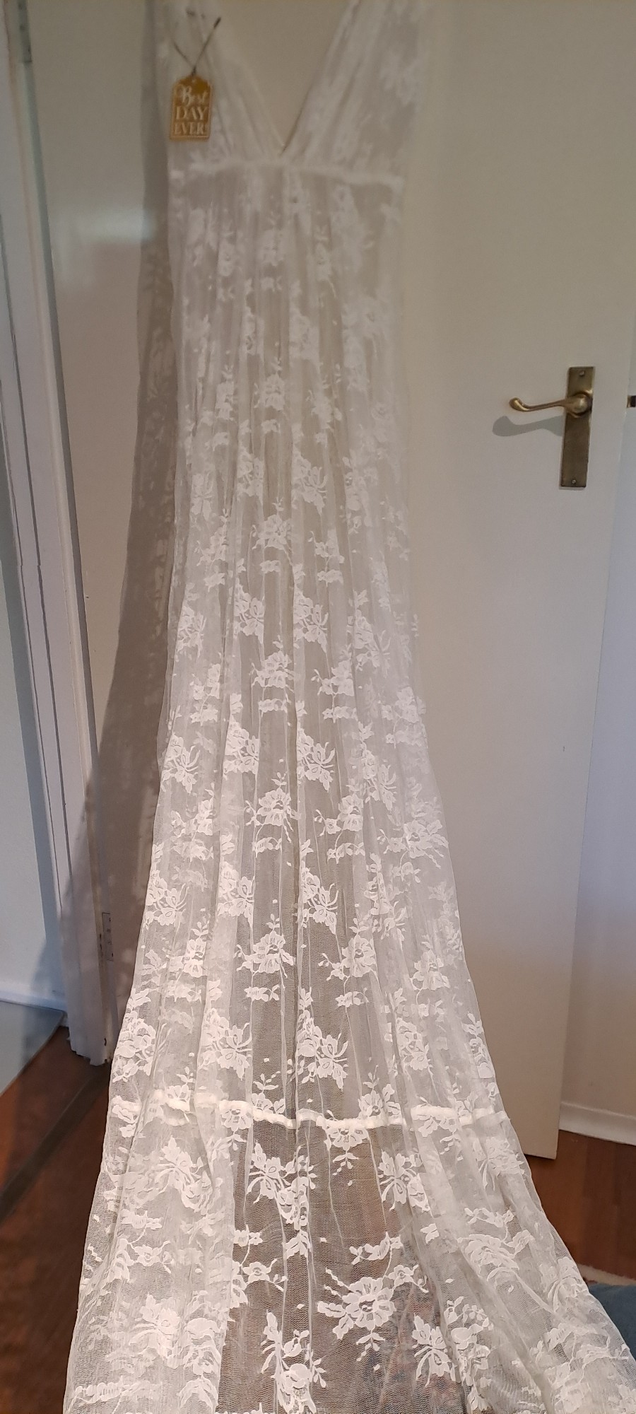 Charlie Brear, Voulaire lace overdress