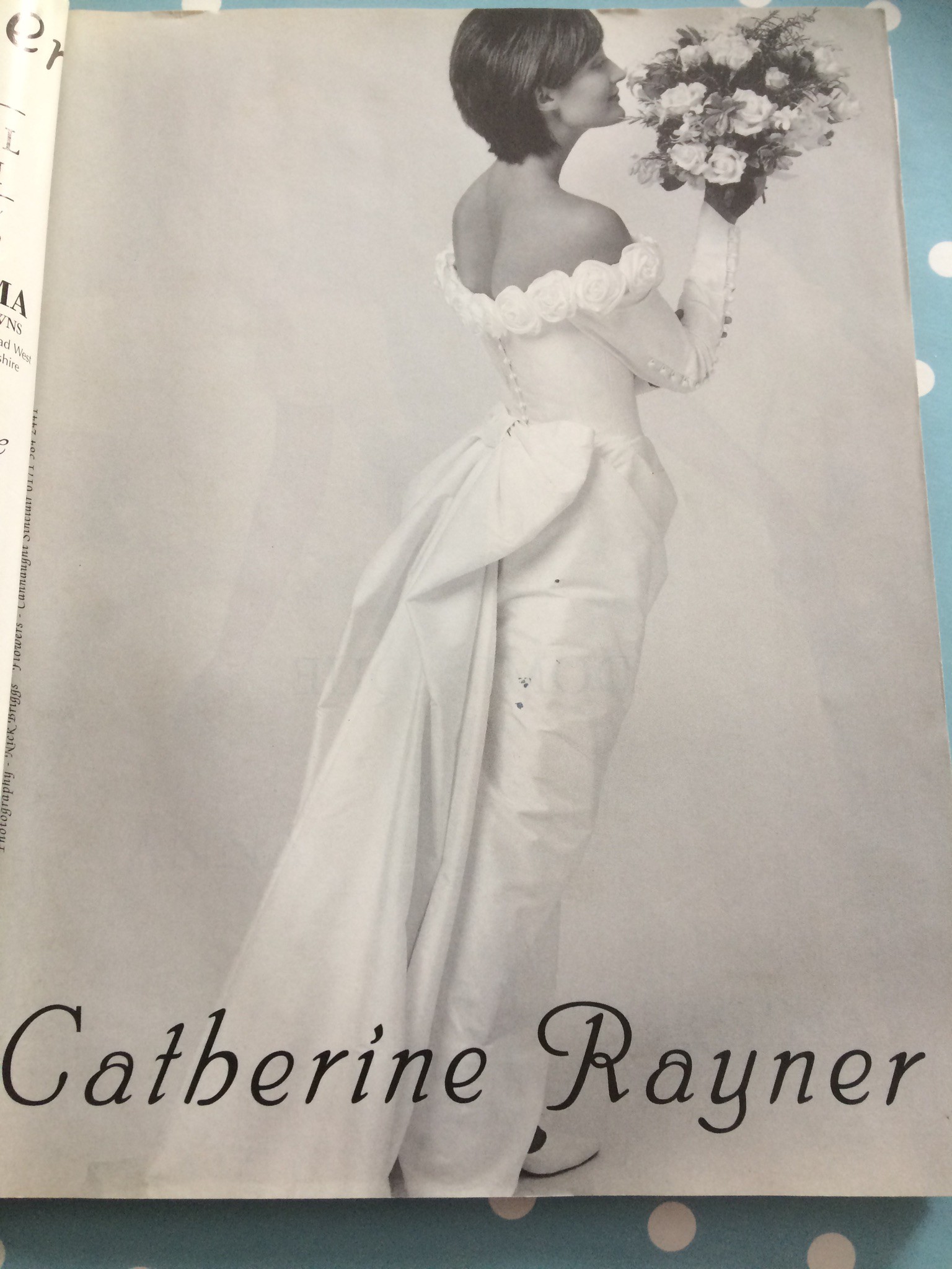 Catherine Rayner Preowned Wedding Dress Save 8   Stillwhite