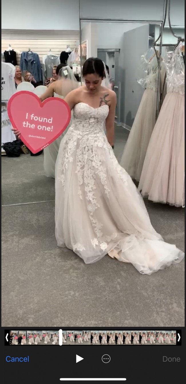 wg3861 david's bridal