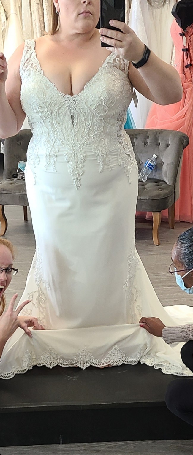 sophia tolli summer