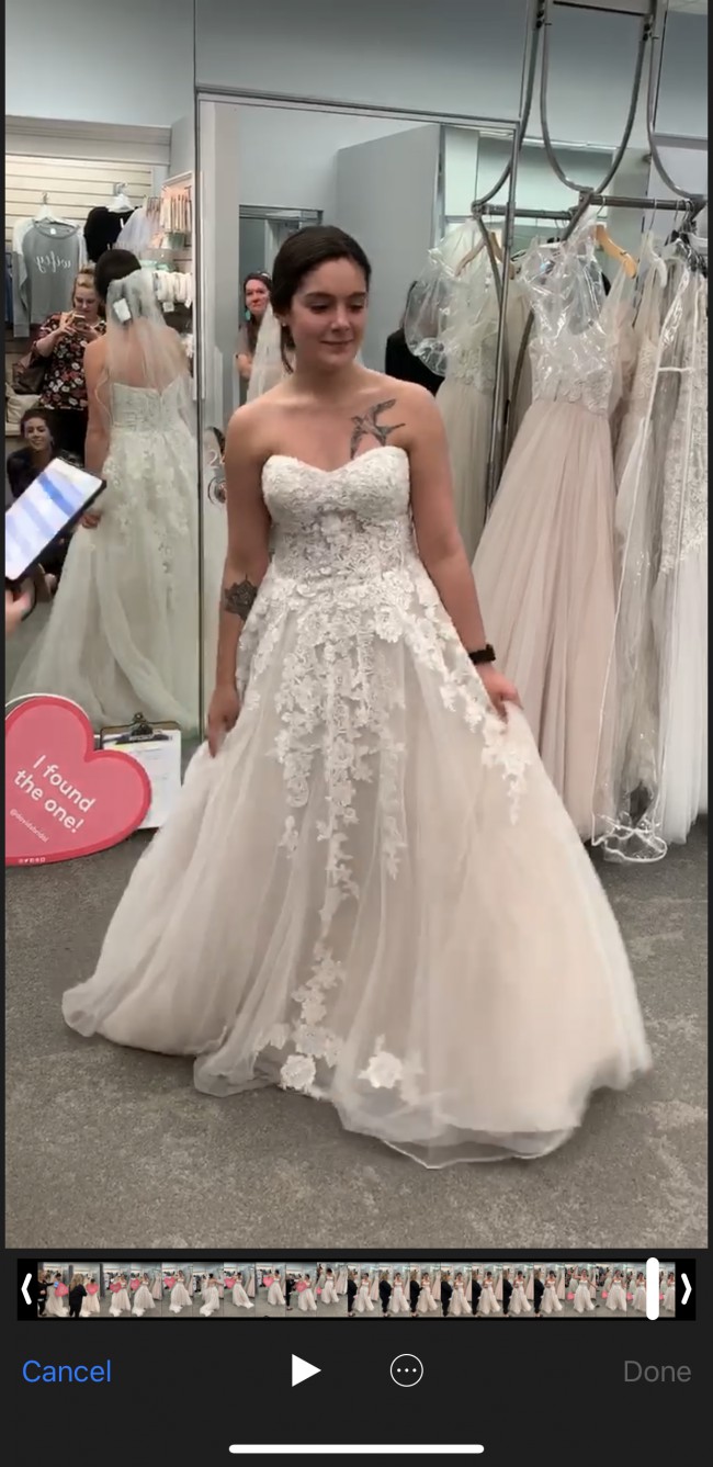 wg3861 david's bridal