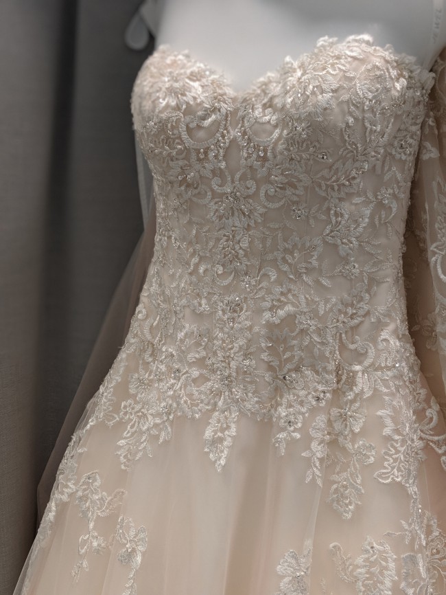 v3836 david's bridal