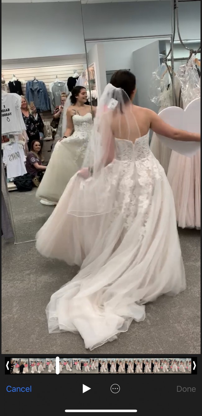 wg3861 david's bridal