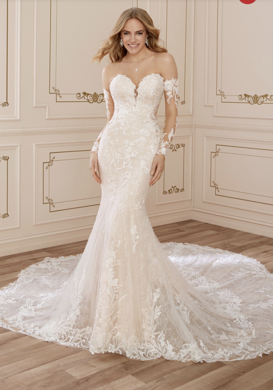 Sophia Tolli Wedding Dress Y22262