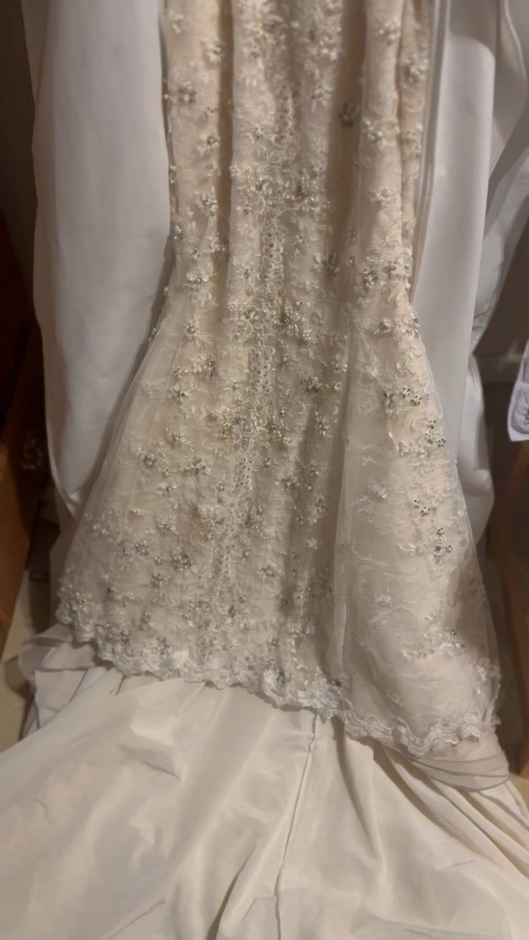 Galia Lahav, Priscilla