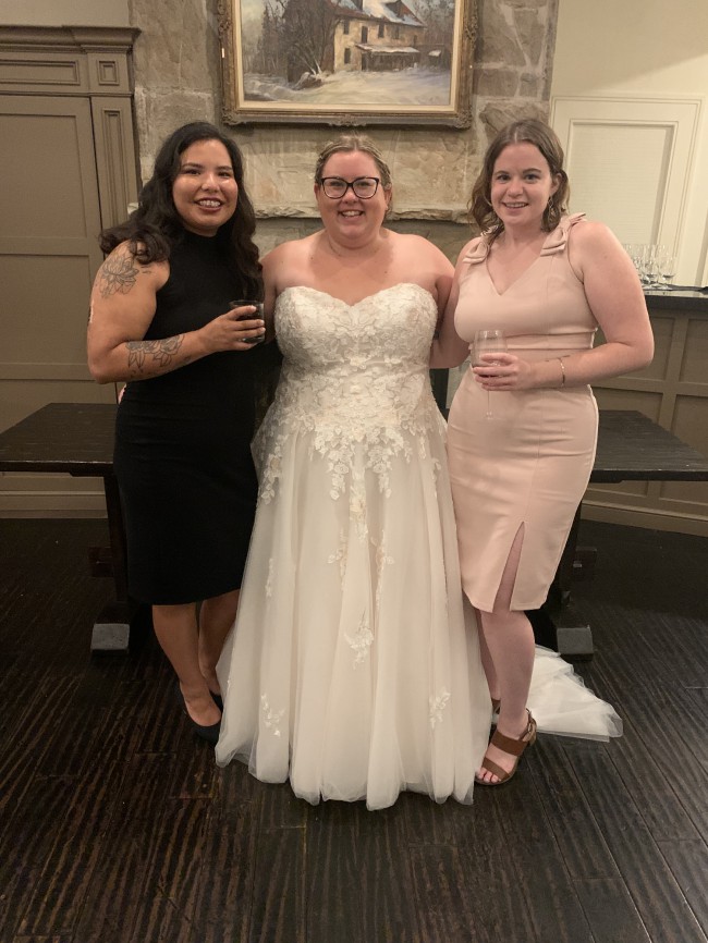 david's bridal v3902
