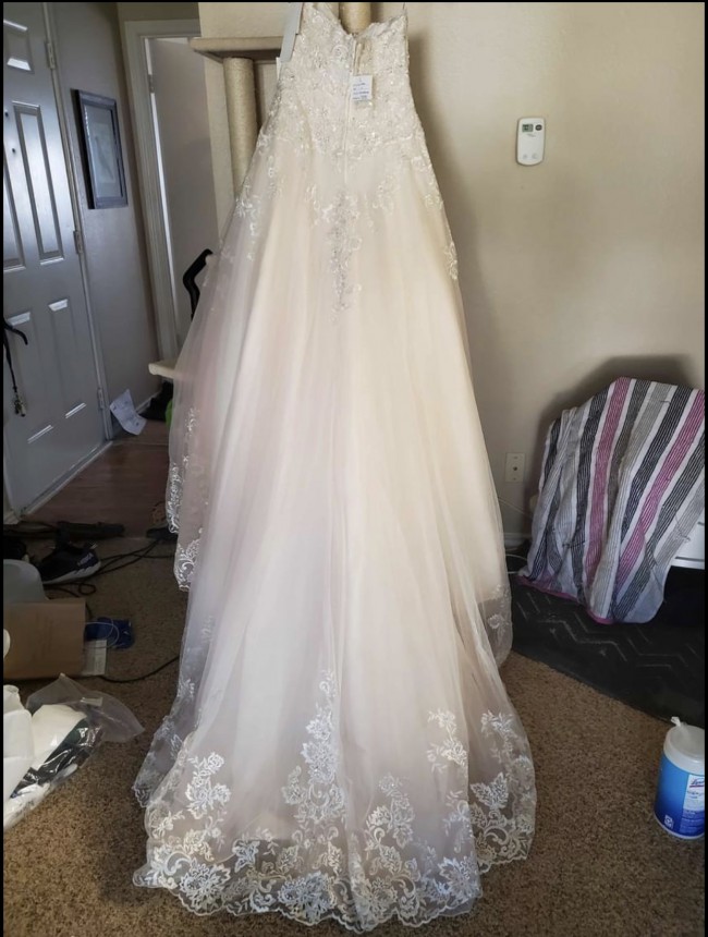 v3836 david's bridal