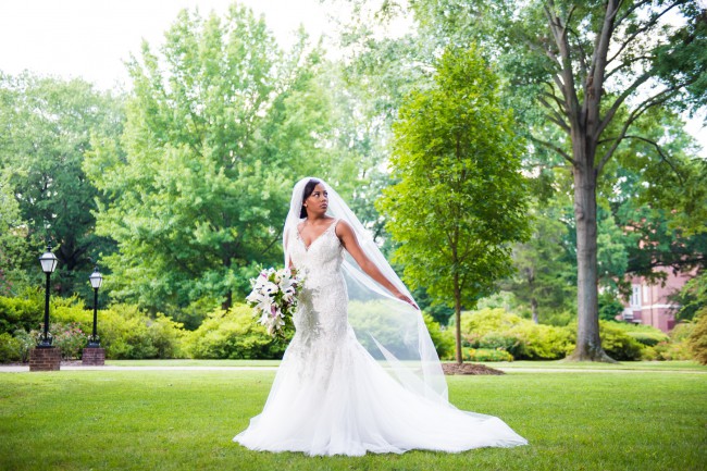 allure couture c388