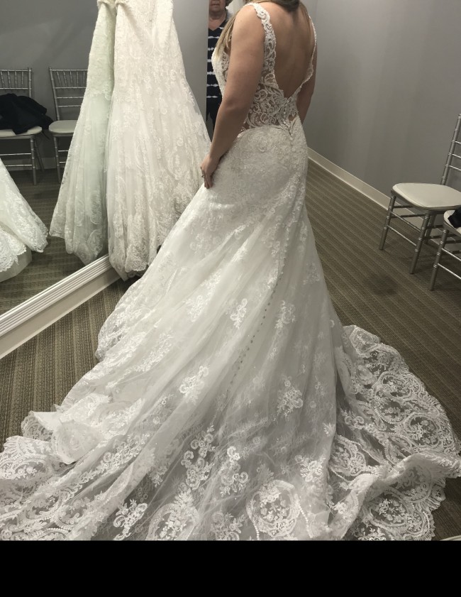 allure c504