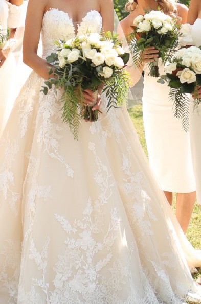 elcira pronovias price