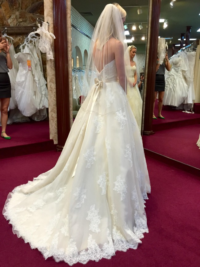robin ball gown