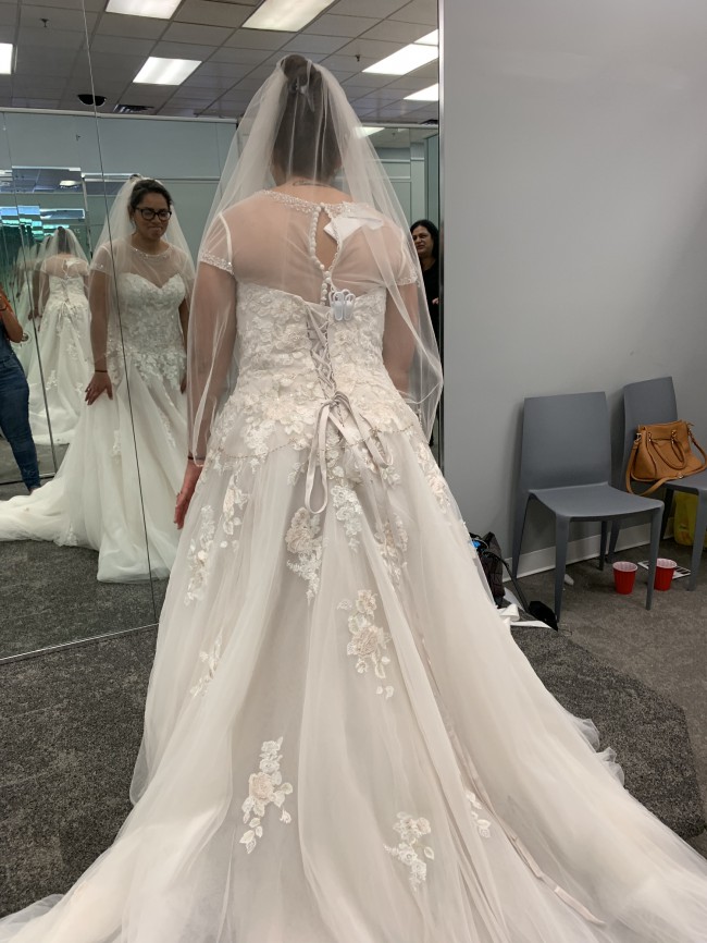 david's bridal v3902