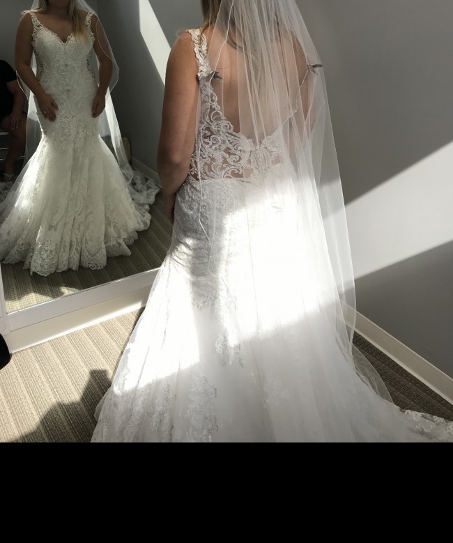 allure c504