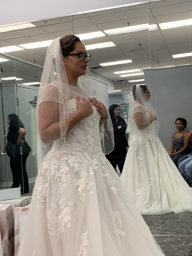 david's bridal v3902