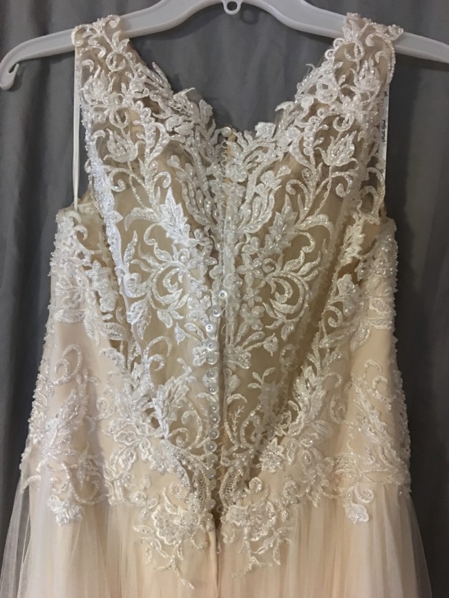 stella york 6284