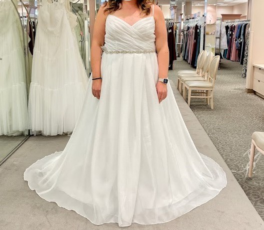 David's bridal on sale try on dresses