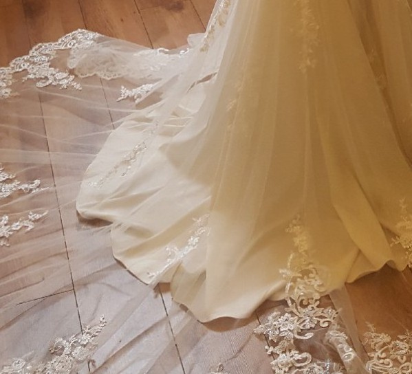 sharara sharara suit