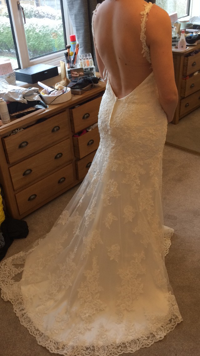 stella york 5984